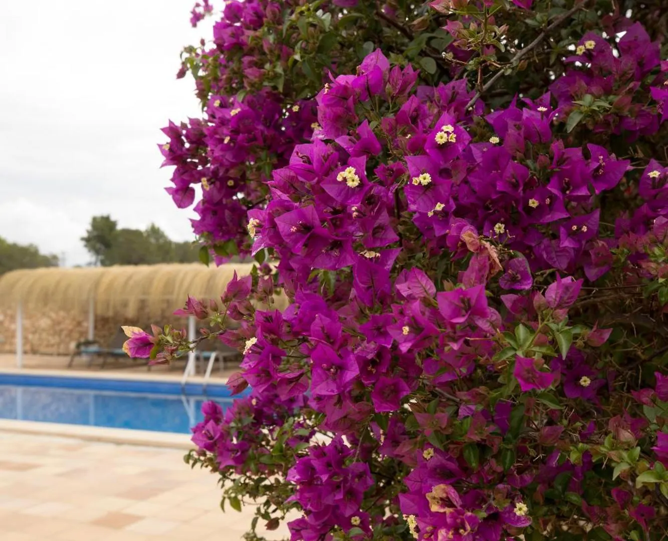 Villa Mestral Alcúdia